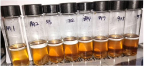 Original project photograph of assay tubes labeled as the inhibition assay at zero hours.