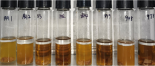 Original project photograph of assay tubes labeled as the inhibition assay at twenty-four hours.