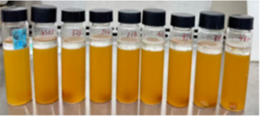 Original project photograph of assay tubes labeled as the killing assay at zero hours.